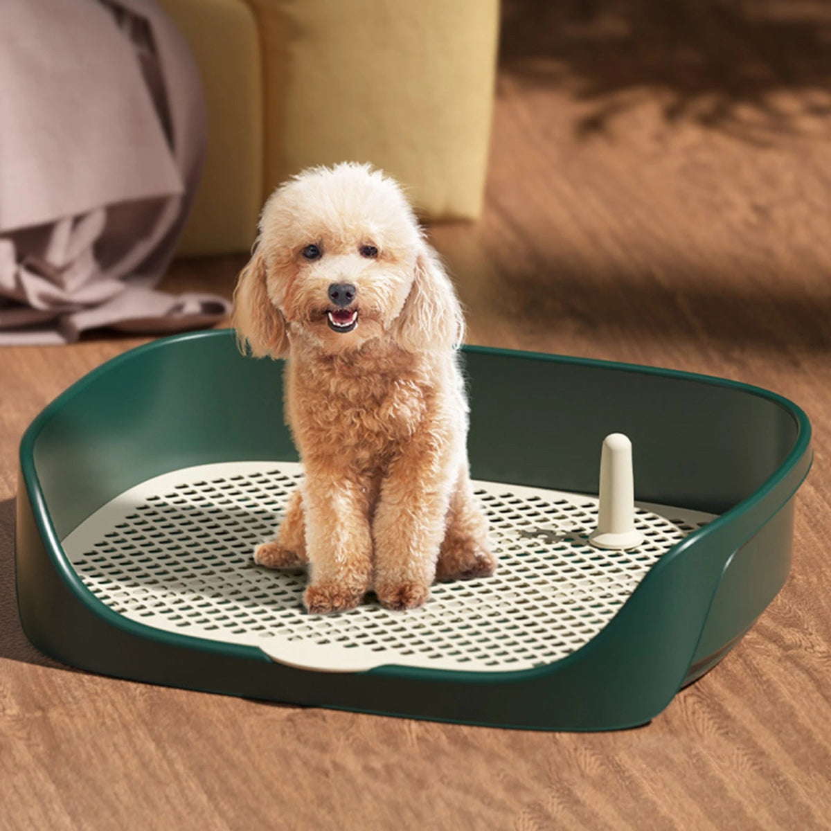 Pet Dog Toilet Portable Dog Potty Pan Trainer Litter Box Anti - Splash Pets Wc Toilet Puppy Kitten Cleaning Tool - Lily.sg Global Shopping
