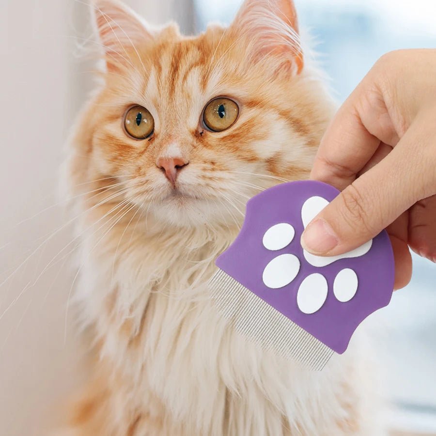 Pet Grooming Comb - Flea Comb for Cats & Dogs, Curved Design for Face & Body, Mini Detangling Brush for Pets - Lily.sg Global Shopping