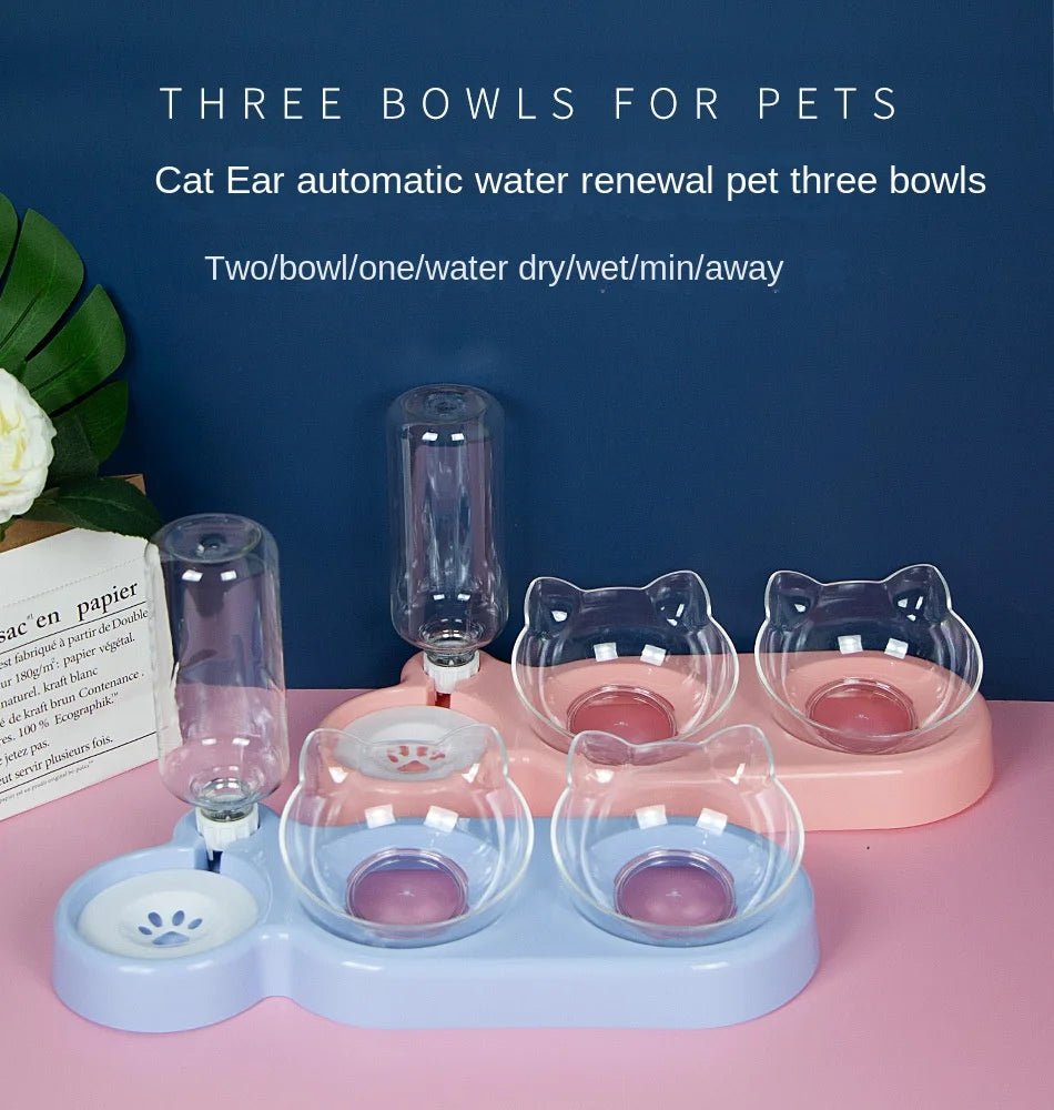 Pet SuppliesElevated Bowls for Cats and DogsDurable Double Cat and Dog Bowl FeedersElevated Cat Feeding and Drinking Supplies - Lily.sg Global Shopping