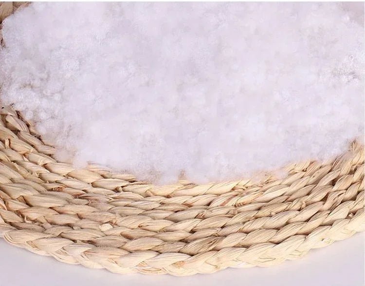 Portable Car Safety Pet Seat for Small Dogs and Cats, Travel Central Control, Transport Dog Carrier, Bag Protector - Lily.sg Global Shopping