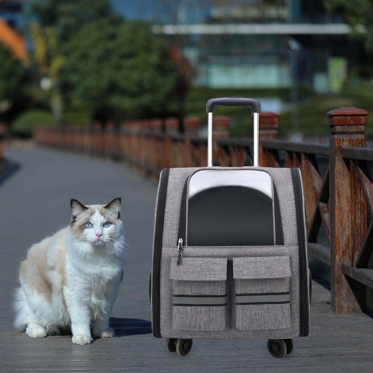 Portable Cat Trolley Case Backpack with Handle Pet Carrier Handbag Carrying Bag for Small Cats Doggy Travel Outdoor Transparent - Lily.sg Global Shopping