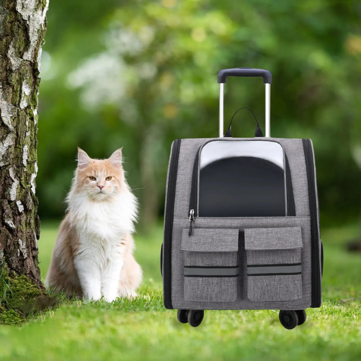 Portable Cat Trolley Case Backpack with Handle Pet Carrier Handbag Carrying Bag for Small Cats Doggy Travel Outdoor Transparent - Lily.sg Global Shopping