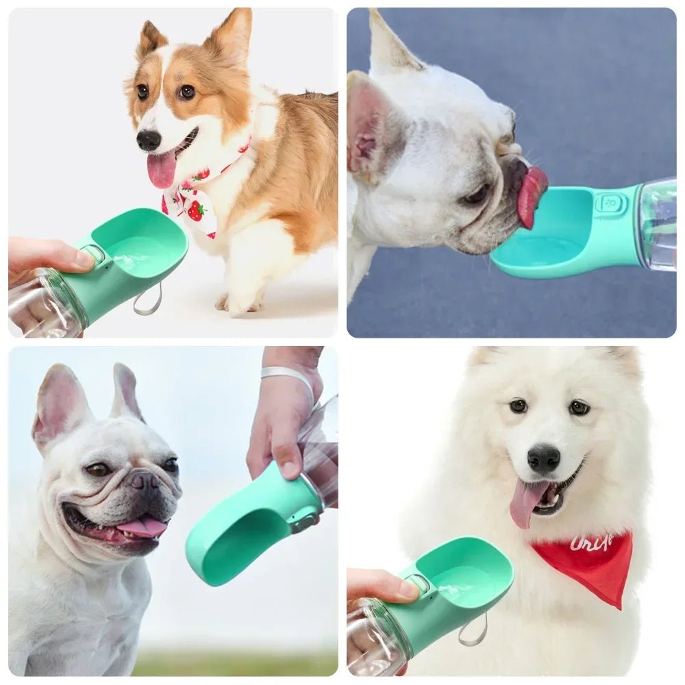 Portable Dog Water Bottle For Small Large Dogs Cat Outdoor Leakproof Walking Drinking Bowls Chihuahua French Bulldog Supplies - Lily.sg Global Shopping