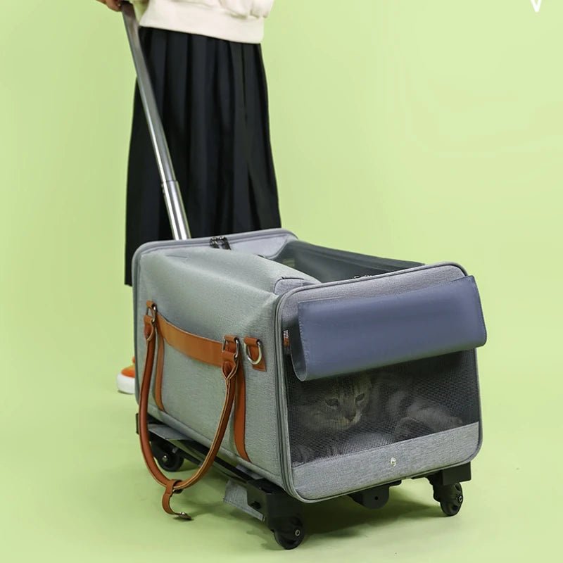 Portable Pet Carrier Backpack with Wheels Cat Cart Portable Supplies for Going Out Folding Luggage Pets Bag Products Supplies - Lily.sg Global Shopping