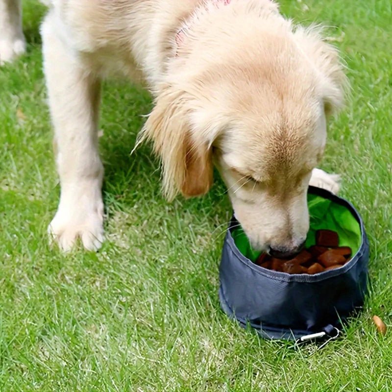 Portable Pet Water Food Feeder Bowl convenient Collapsible Feeding Water For Dog Puppy Cat Outdoor Folding Bowl Pet Supplies - Lily.sg Global Shopping
