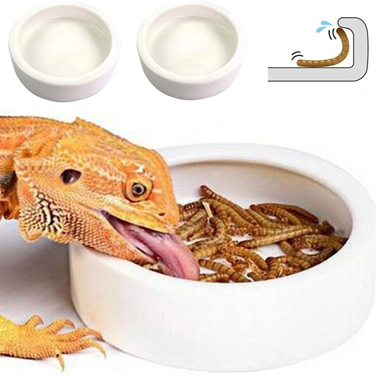 Reptile Food Bowl Feeding and Watering Bowl Anti - Escape Ceramic Feeding and Watering Bowl Anti - Escape Super Worm Feeder - Lily.sg Global Shopping
