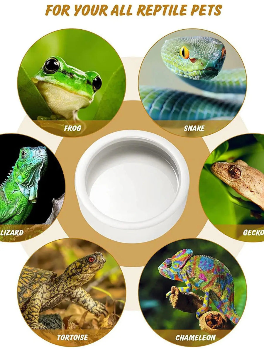 Reptile Food Bowl Feeding and Watering Bowl Anti - Escape Ceramic Feeding and Watering Bowl Anti - Escape Super Worm Feeder - Lily.sg Global Shopping