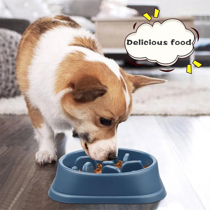 Slow Feeder Dog Bowl Anti Choking Watering & Feeding Supplies Puzzle Feeder Bowl Non - slip Slow Eat Bowl for Dogs Large Small - Lily.sg Global Shopping