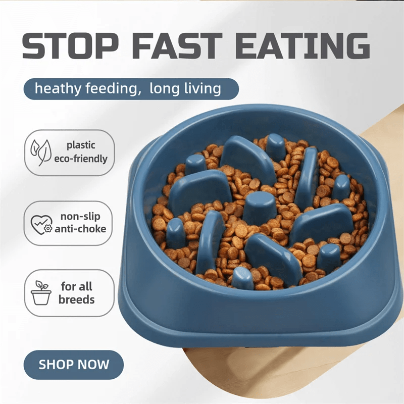 Slow Feeder Dog Bowl Anti Choking Watering & Feeding Supplies Puzzle Feeder Bowl Non - slip Slow Eat Bowl for Dogs Large Small - Lily.sg Global Shopping