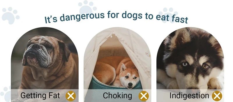 Slow Feeder Dog Bowl Anti Choking Watering & Feeding Supplies Puzzle Feeder Bowl Non - slip Slow Eat Bowl for Dogs Large Small - Lily.sg Global Shopping