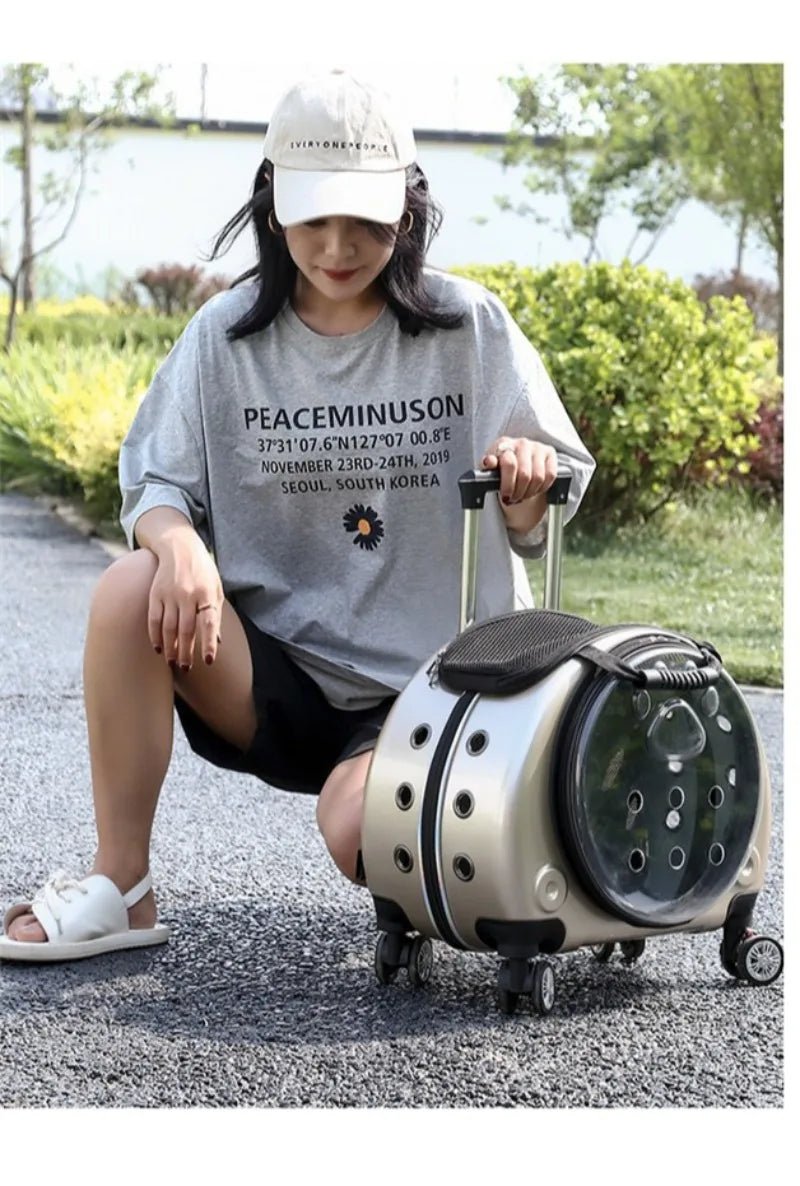 Small Pet Trolley Clear Shoulder Cat Bag Pack Breathable Crate for Journey Outside Portable Pet Products Supplies Carriers - Lily.sg Global Shopping