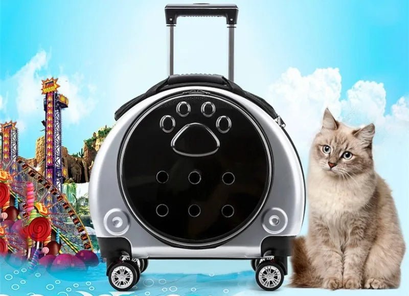 Small Pet Trolley Clear Shoulder Cat Bag Pack Breathable Crate for Journey Outside Portable Pet Products Supplies Carriers - Lily.sg Global Shopping