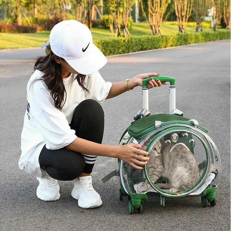 Small Pet Trolley Clear Shoulder Cat Bag Pack Breathable Crate for Journey Outside Portable Pet Products Supplies Carriers - Lily.sg Global Shopping