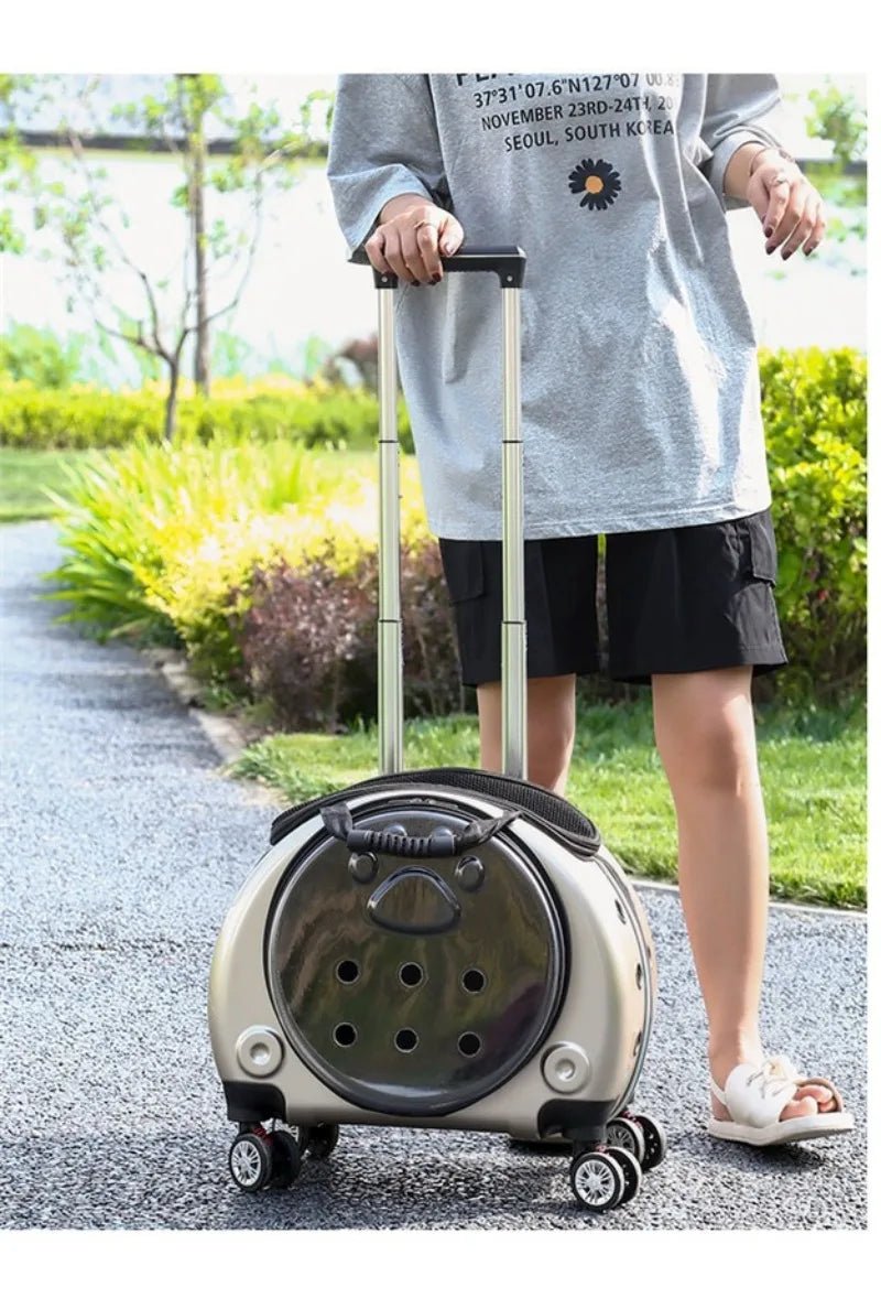 Small Pet Trolley Clear Shoulder Cat Bag Pack Breathable Crate for Journey Outside Portable Pet Products Supplies Carriers - Lily.sg Global Shopping