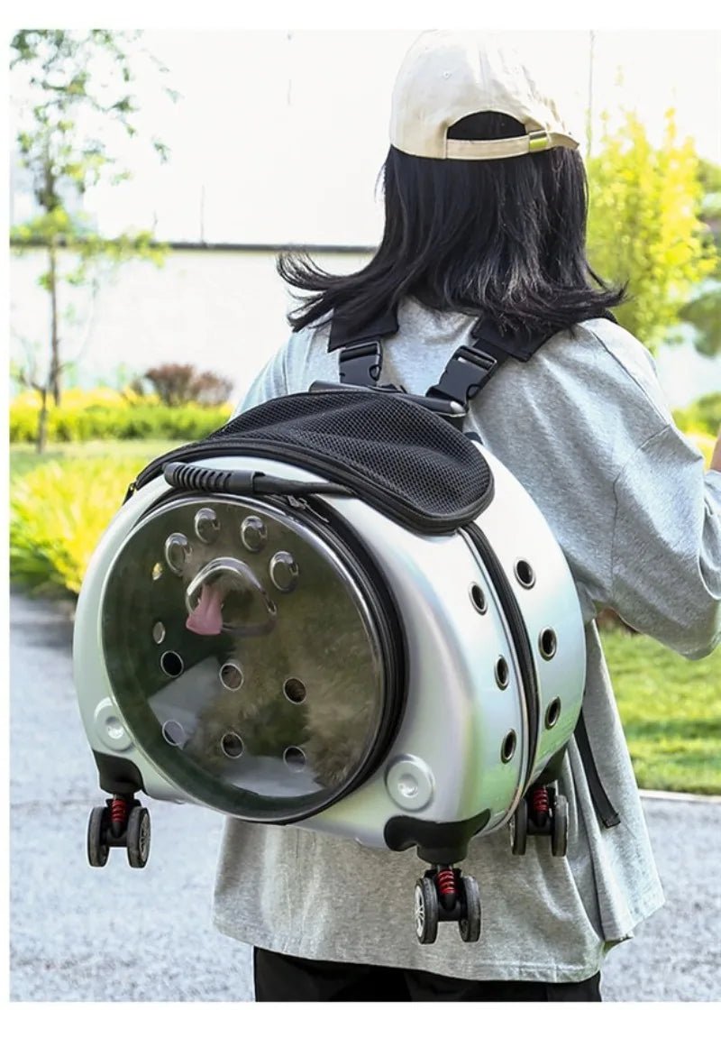 Small Pet Trolley Clear Shoulder Cat Bag Pack Breathable Crate for Journey Outside Portable Pet Products Supplies Carriers - Lily.sg Global Shopping