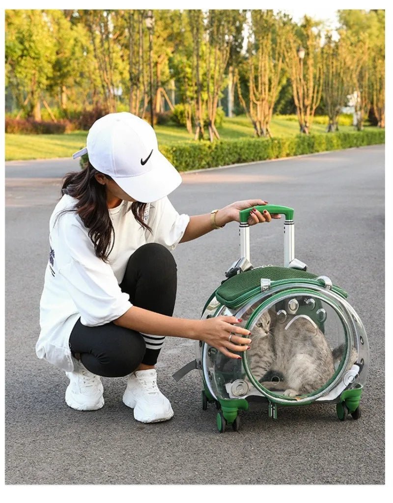 Small Pet Trolley Clear Shoulder Cat Bag Pack Breathable Crate for Journey Outside Portable Pet Products Supplies Carriers - Lily.sg Global Shopping