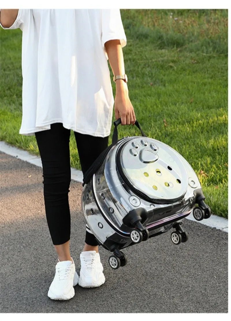 Small Pet Trolley Clear Shoulder Cat Bag Pack Breathable Crate for Journey Outside Portable Pet Products Supplies Carriers - Lily.sg Global Shopping