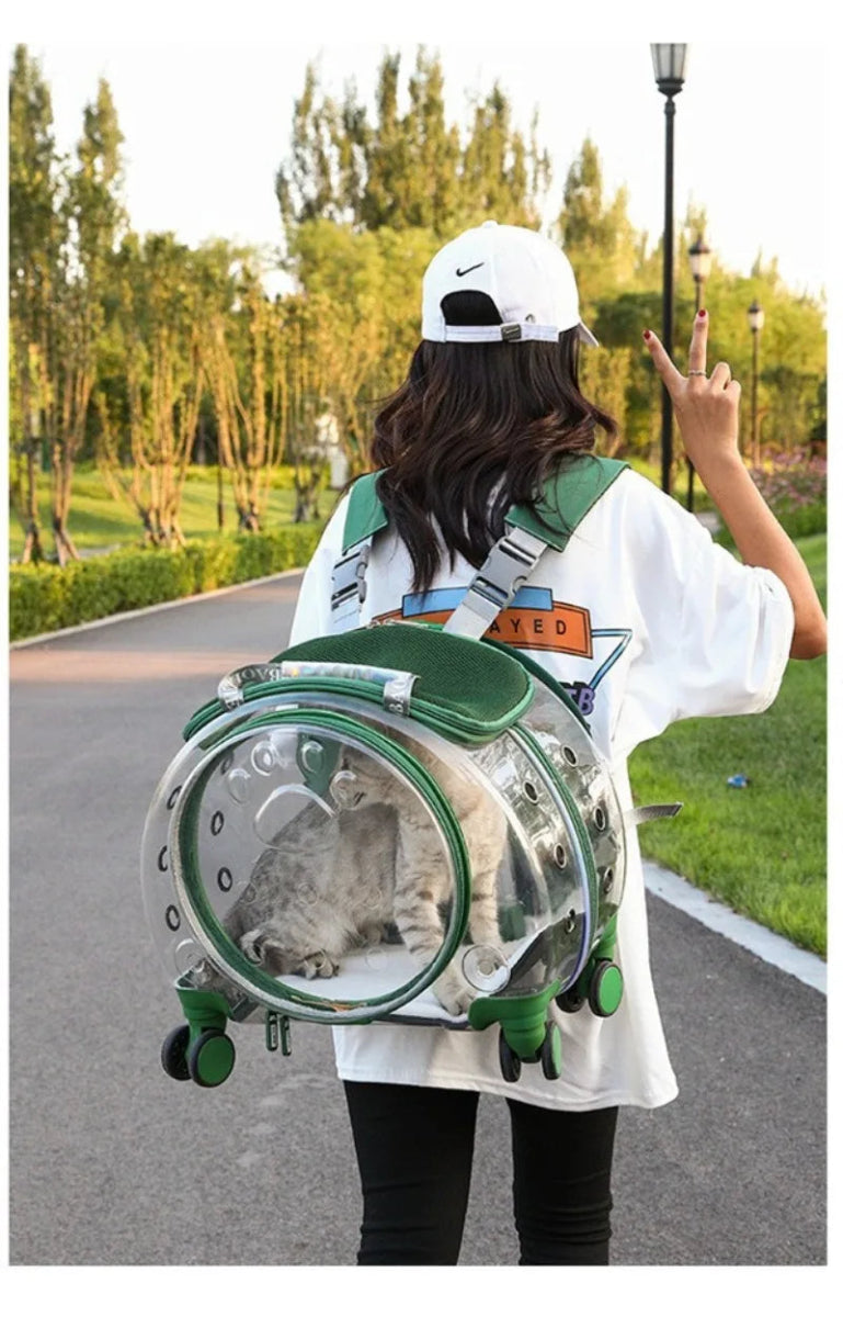 Small Pet Trolley Clear Shoulder Cat Bag Pack Breathable Crate for Journey Outside Portable Pet Products Supplies Carriers - Lily.sg Global Shopping