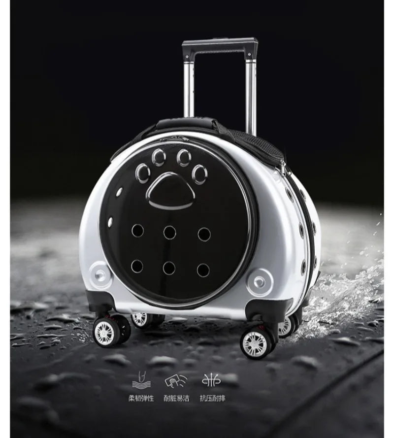 Small Pet Trolley Clear Shoulder Cat Bag Pack Breathable Crate for Journey Outside Portable Pet Products Supplies Carriers - Lily.sg Global Shopping