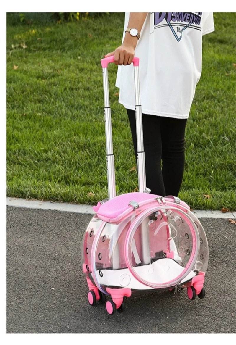 Small Pet Trolley Clear Shoulder Cat Bag Pack Breathable Crate for Journey Outside Portable Pet Products Supplies Carriers - Lily.sg Global Shopping