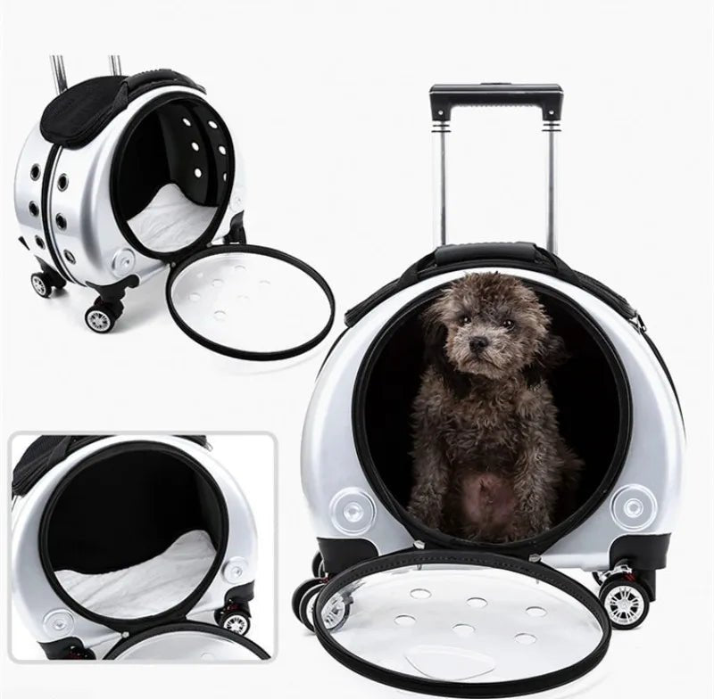 Small Pet Trolley Clear Shoulder Cat Bag Pack Breathable Crate for Journey Outside Portable Pet Products Supplies Carriers - Lily.sg Global Shopping