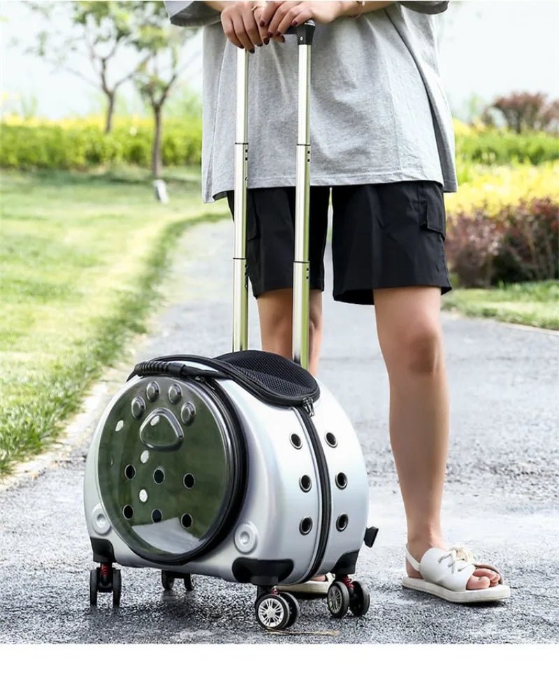 Small Pet Trolley Clear Shoulder Cat Bag Pack Breathable Crate for Journey Outside Portable Pet Products Supplies Carriers - Lily.sg Global Shopping