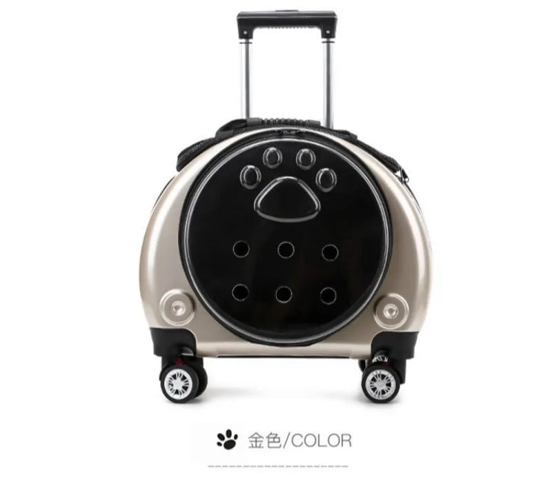 Small Pet Trolley Clear Shoulder Cat Bag Pack Breathable Crate for Journey Outside Portable Pet Products Supplies Carriers - Lily.sg Global Shopping
