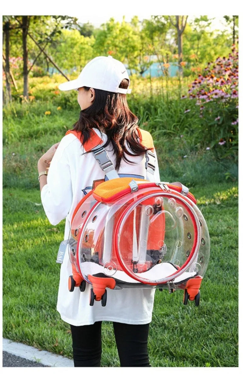 Small Pet Trolley Clear Shoulder Cat Bag Pack Breathable Crate for Journey Outside Portable Pet Products Supplies Carriers - Lily.sg Global Shopping