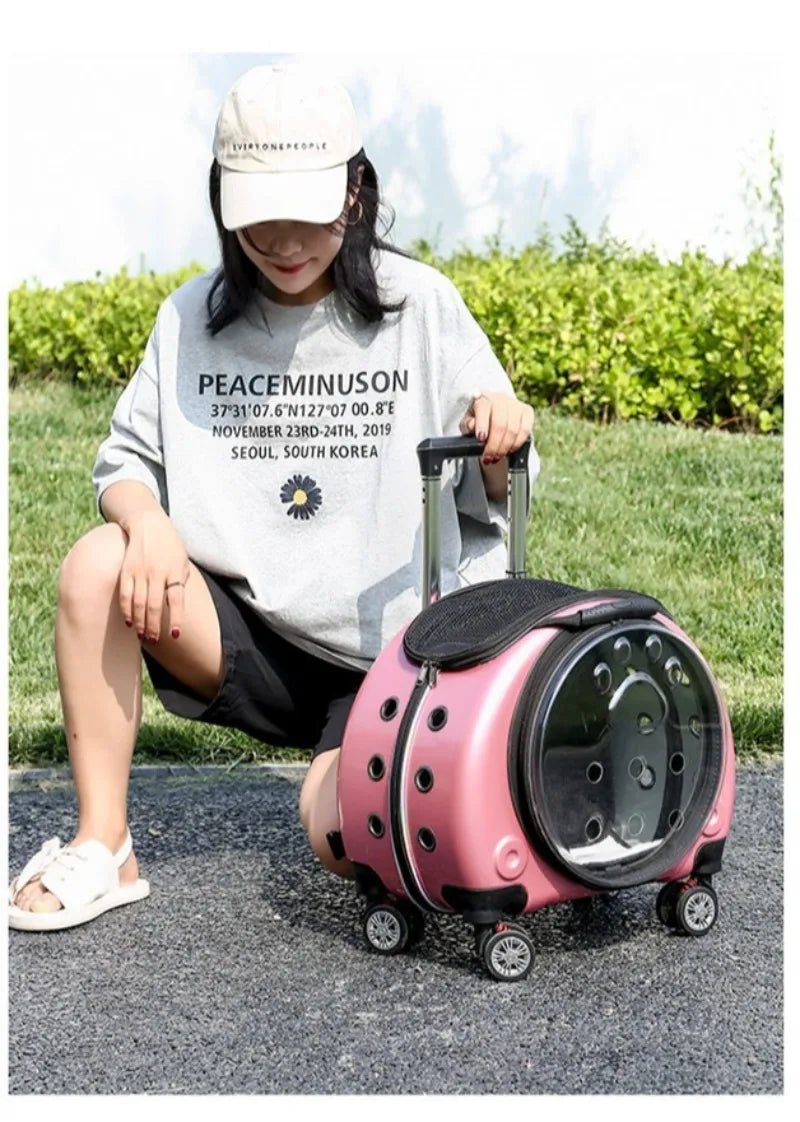 Small Pet Trolley Clear Shoulder Cat Bag Pack Breathable Crate for Journey Outside Portable Pet Products Supplies Carriers - Lily.sg Global Shopping