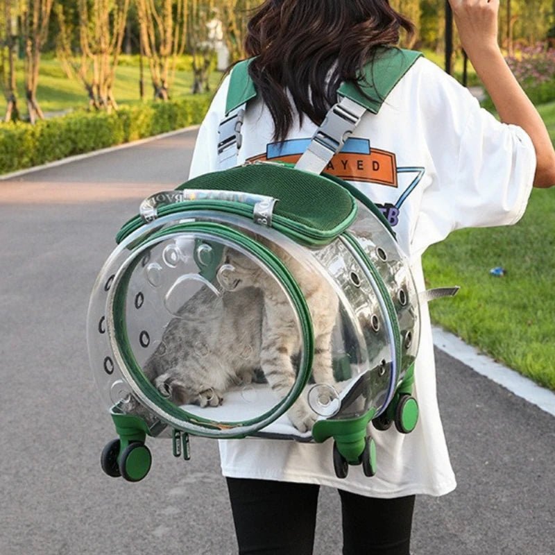 Small Pet Trolley Clear Shoulder Cat Bag Pack Breathable Crate for Journey Outside Portable Pet Products Supplies Carriers - Lily.sg Global Shopping