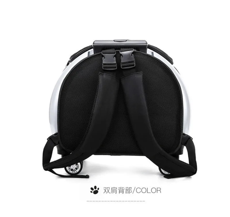Small Pet Trolley Clear Shoulder Cat Bag Pack Breathable Crate for Journey Outside Portable Pet Products Supplies Carriers - Lily.sg Global Shopping