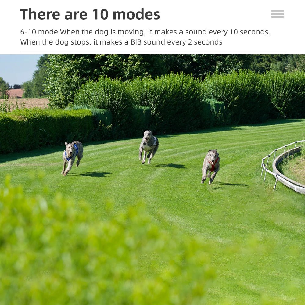 Sound Localization Collar For Hunting Dogs Beeper Dog Training Collar Waterproof Beeper Collars For Sports Training - Lily.sg Global Shopping