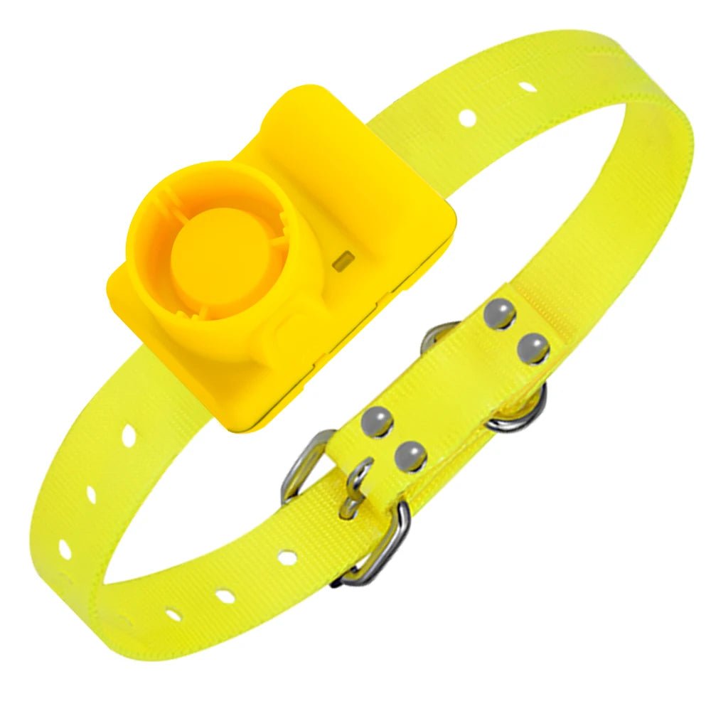 Sound Localization Collar For Hunting Dogs Beeper Dog Training Collar Waterproof Beeper Collars For Sports Training - Lily.sg Global Shopping