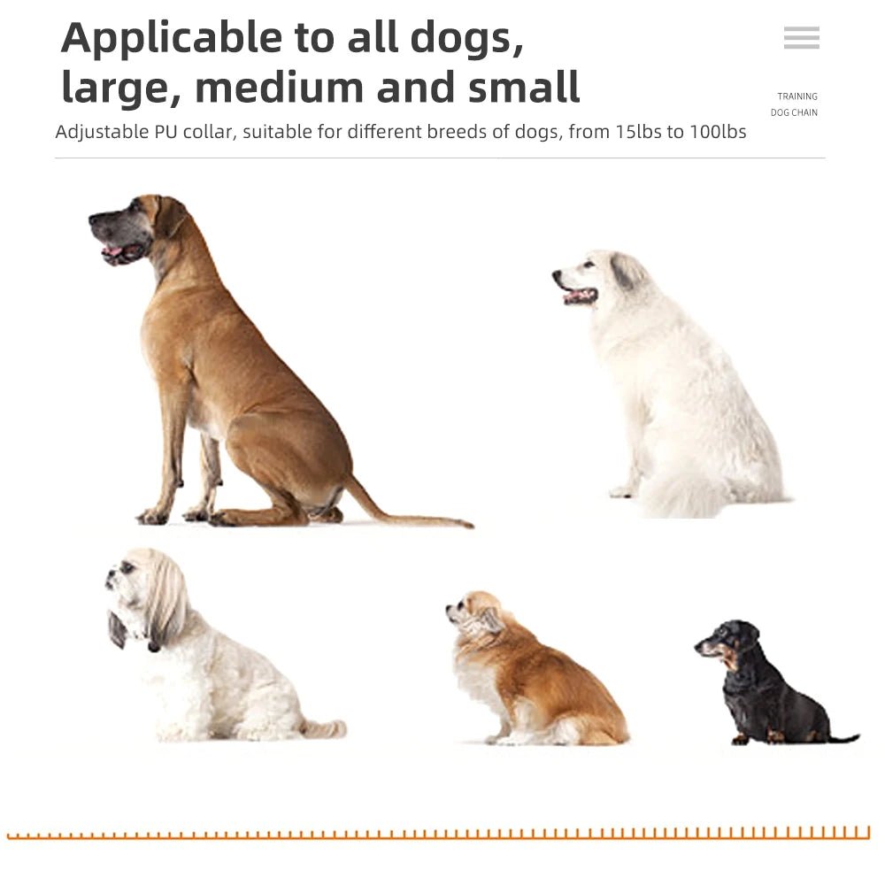 Sound Localization Collar For Hunting Dogs Beeper Dog Training Collar Waterproof Beeper Collars For Sports Training - Lily.sg Global Shopping