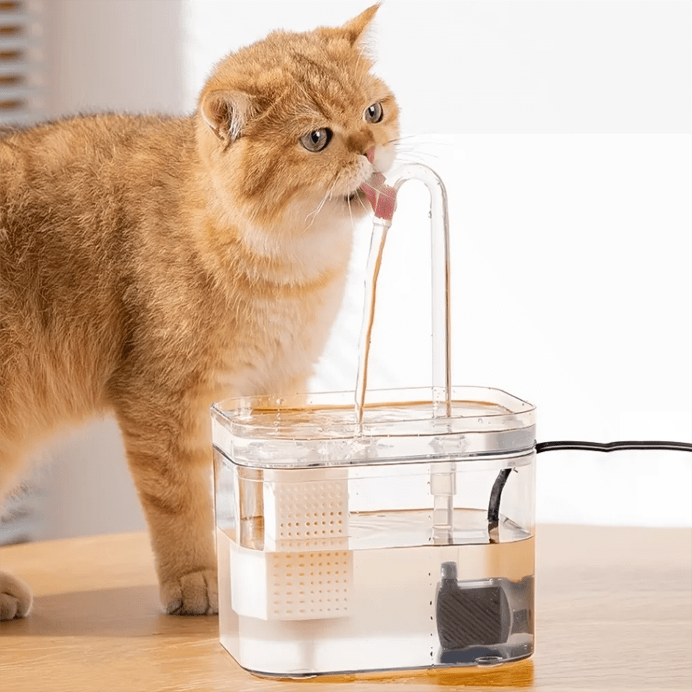 Transparent cat drinking fountain automatic circulating live water drinking basin dog smart drinking fountain pet supplies - Lily.sg Global Shopping