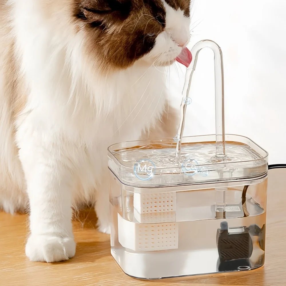 Transparent cat drinking fountain automatic circulating live water drinking basin dog smart drinking fountain pet supplies - Lily.sg Global Shopping