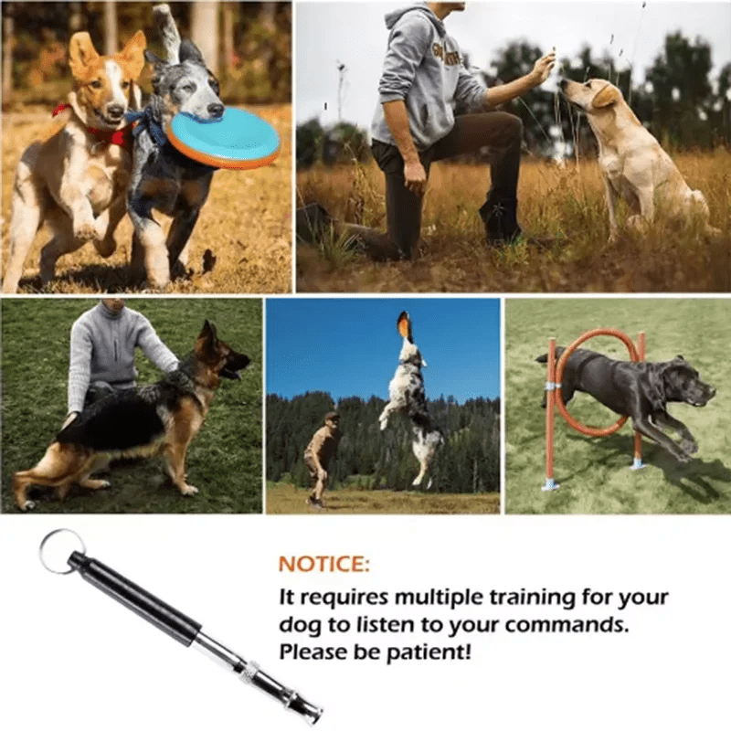 Ultrasonic dog flute training dog whistle dog training dog training pigeon flute pigeon training pigeon pet whistle - Lily.sg Global Shopping