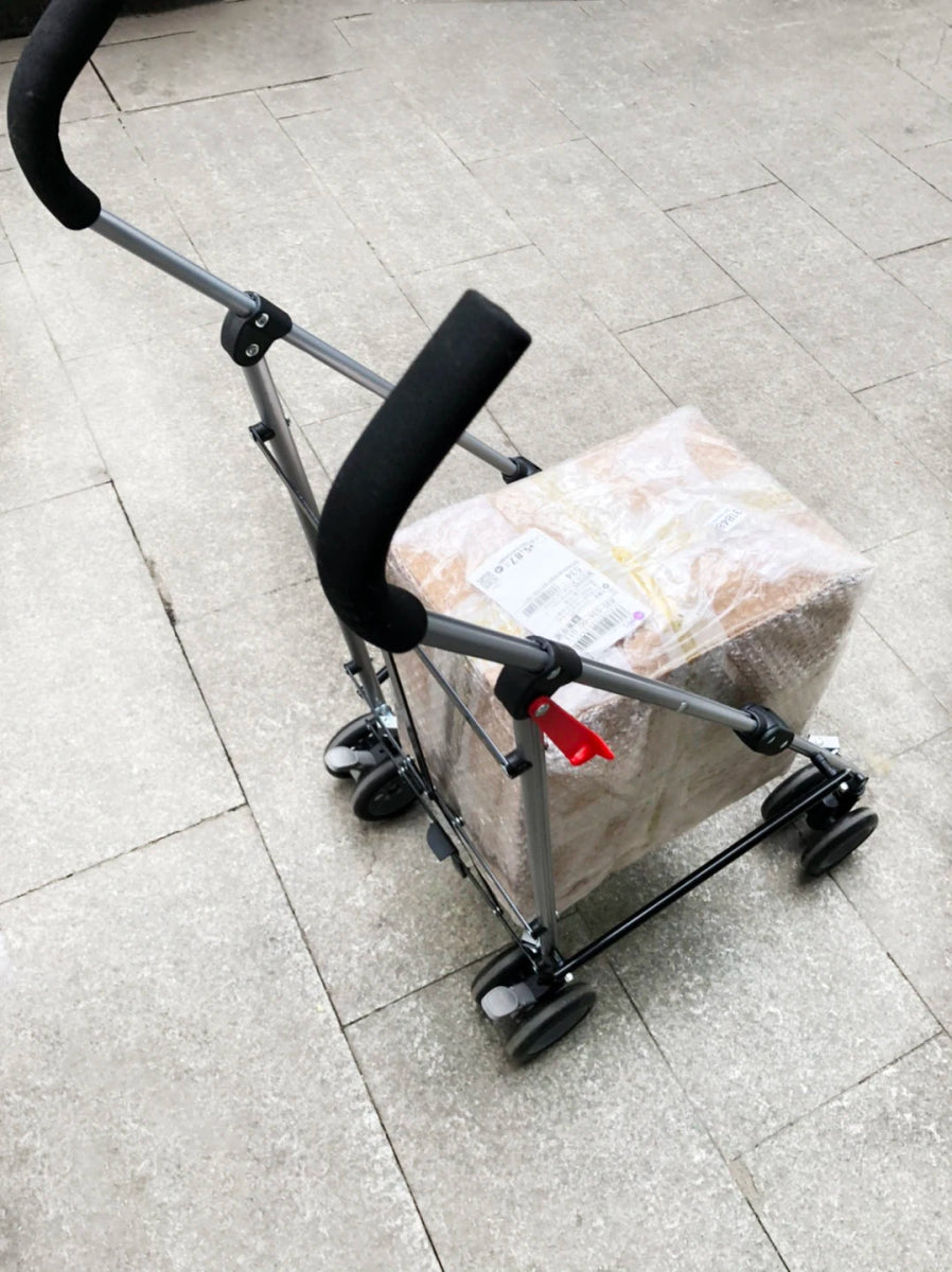 Winter Pet Stroller Frame For Car Seat Bag Simple Foldable Trolley Transport Multifunction Cat Dog Stroller - Lily.sg Global Shopping
