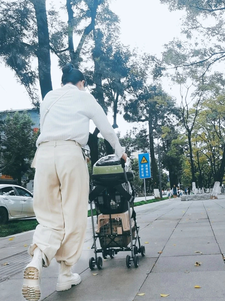 Winter Pet Stroller Frame For Car Seat Bag Simple Foldable Trolley Transport Multifunction Cat Dog Stroller - Lily.sg Global Shopping